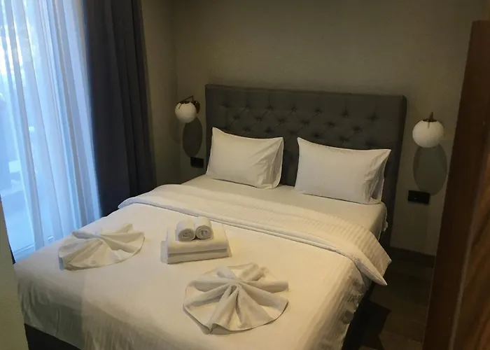 Stotka 科帕奥尼克